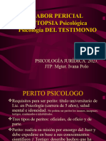 Pericia Testimonio Autopsia