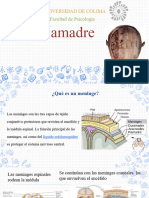 Piamadre 