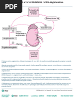 Funcionamento do Sistema RAA | PDF | Rim | Fisiologia