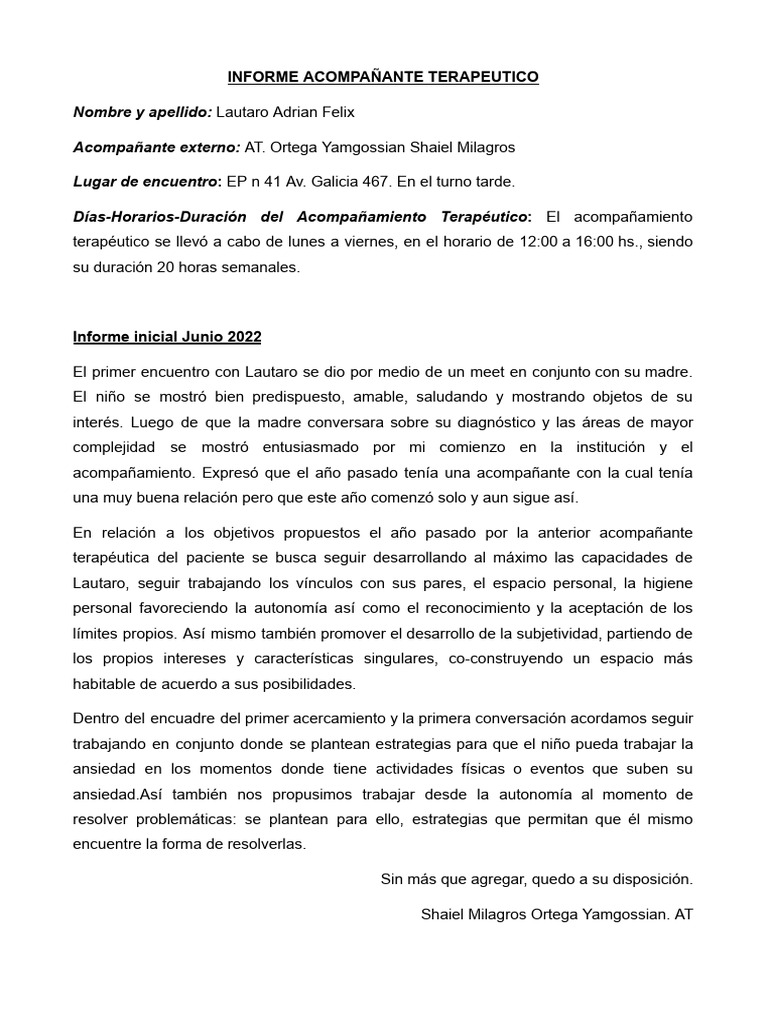 Informe Inicial | PDF