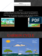 Topic 5 Cycles in The Environment PowerPoint