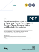 Biosynthetic Potency of Taxol