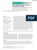 The_FEBS_Journal_2023_Hounjet_Iron‐responsive_element_of_Divalent