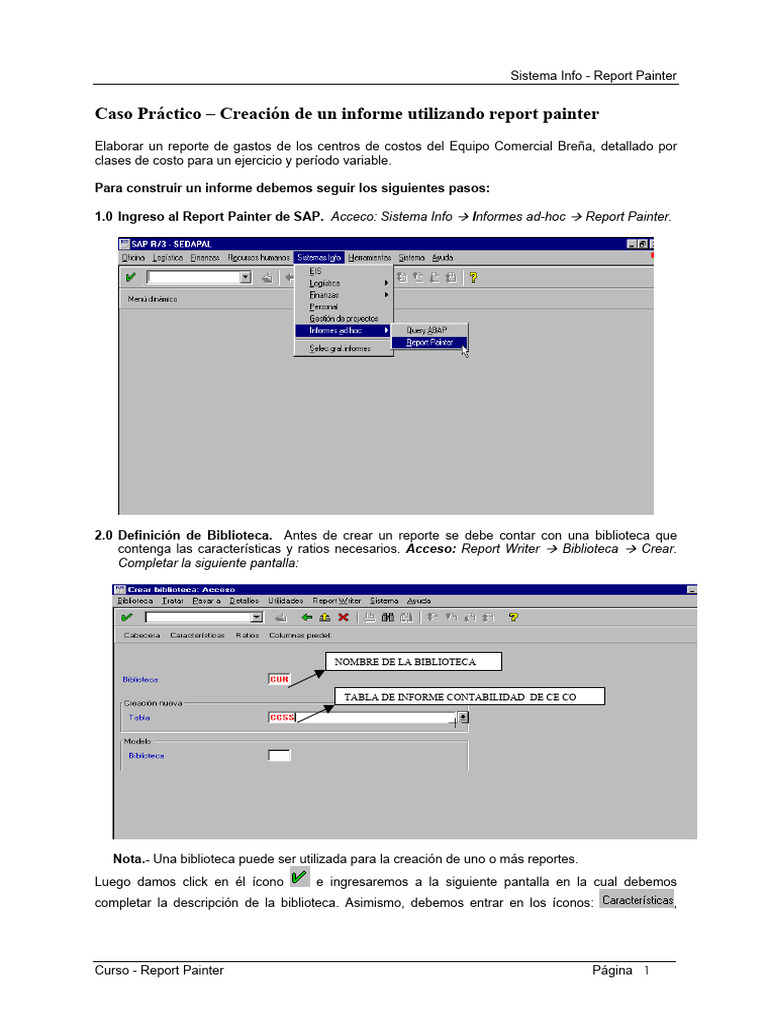 Sistema Info Report Painter Caso Practic | PDF | Software | Informática