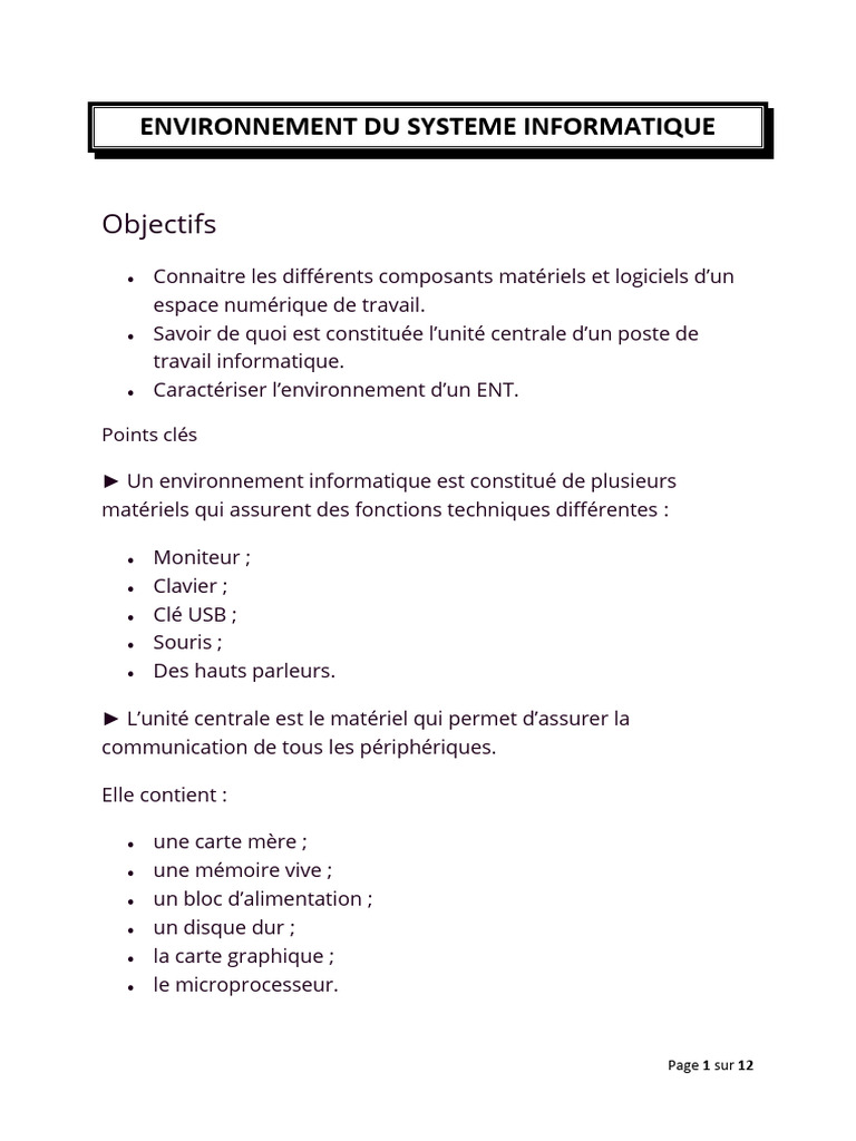 Composants d'un Environnement Informatique | PDF | Matériel ...