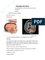 Patologías Del Cráneo