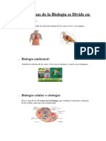 Ramas de La Biologia