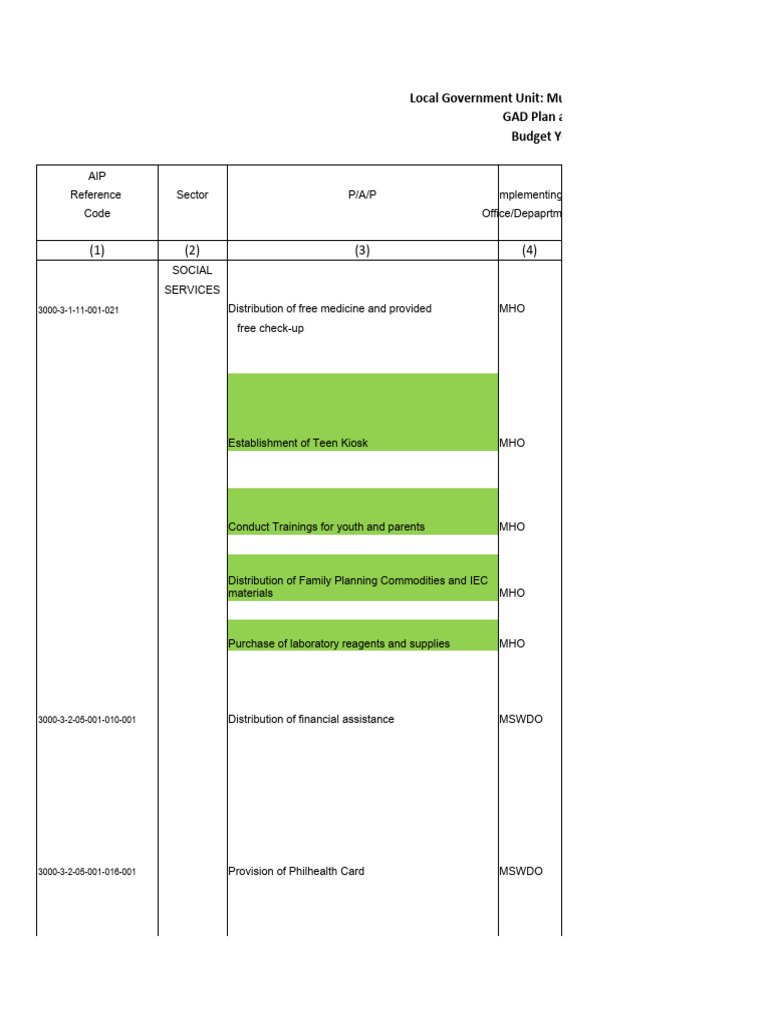 2024 Lian Final Gad Plan | PDF | Disability