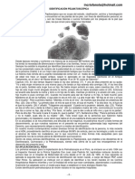 Identificacion Pelmatoscopica Clasificacion y Homologacion de Huellas Plantares