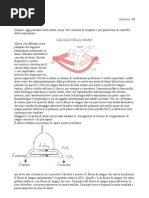 Calcolo Dello Shunt, Consumo Di Ossigenocontrollo Nervoso e Chimico Della Respirazione