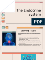 Chapter 6 The Endocrine System