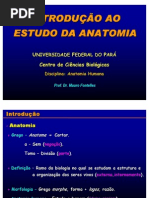 Download historicodaanatomia by Estevao Domingos Aleixo Aleixo SN68189212 doc pdf