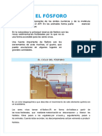 PDF Ciclo Del Fosforo Word Compress