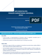 Presentación Superintendencia de Pensiones - Implementación PGU