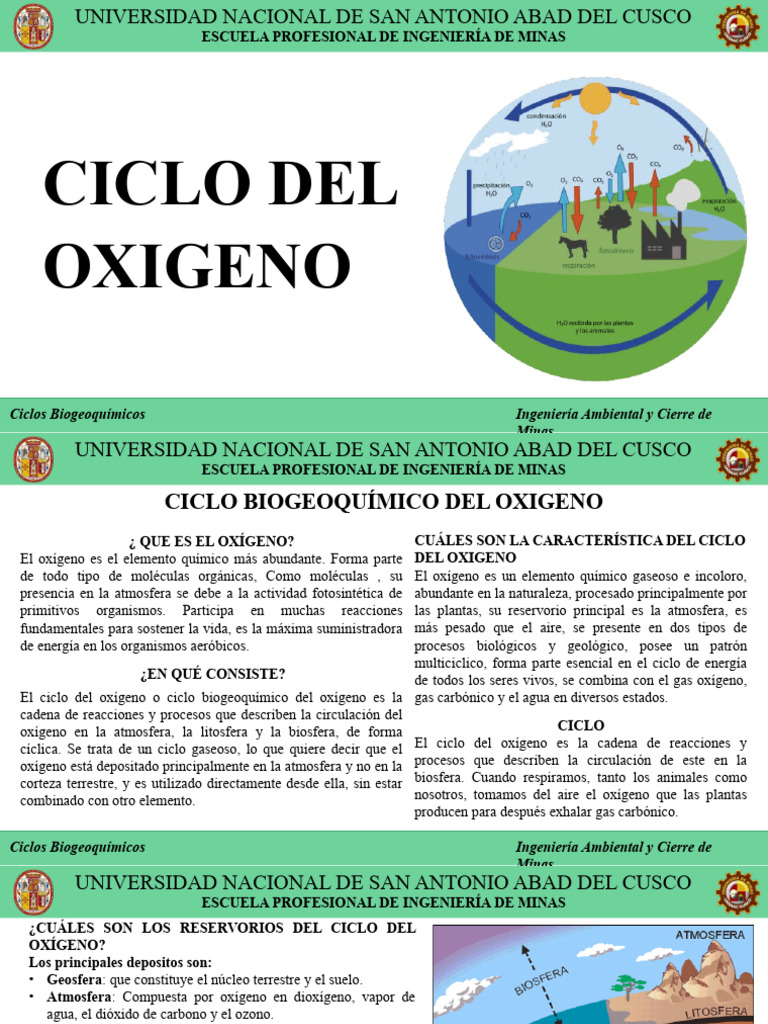 Ciclo Del Oxigeno PDF Oxígeno Ozono