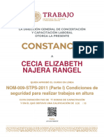 Cecia Elizabeth Najera Rangel: NOM-009-STPS-2011 (Parte I) Condiciones de Seguridad para Realizar Trabajos en Altura
