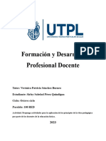 Actividad 2 - Formación y Desarrollo Profesional Docente - Soledad Pérez - 100RED