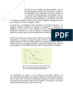 La Presencia Del Músculo DFD Son Los Resultados Del Estrés Alargado y Que Se Agotan El Almacenamiento Del Glucógeno Muscular en El Porcino Vivo