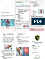Triptico-Enfermedades-Sistema-Circulatorio BLANCA OCHOA RAMOS