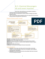 Atar Notes Endorcine System