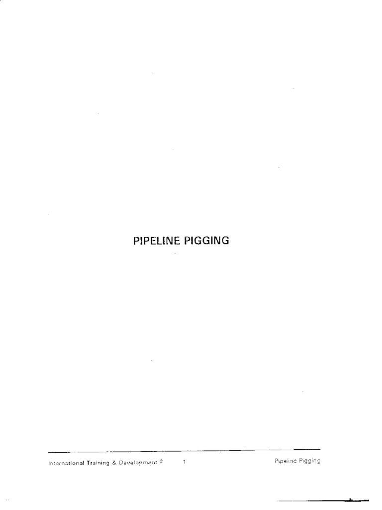 02 Pigging PDF