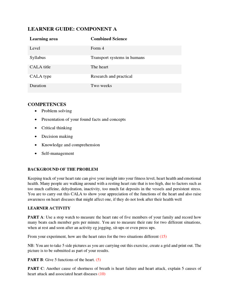 The Heart | PDF