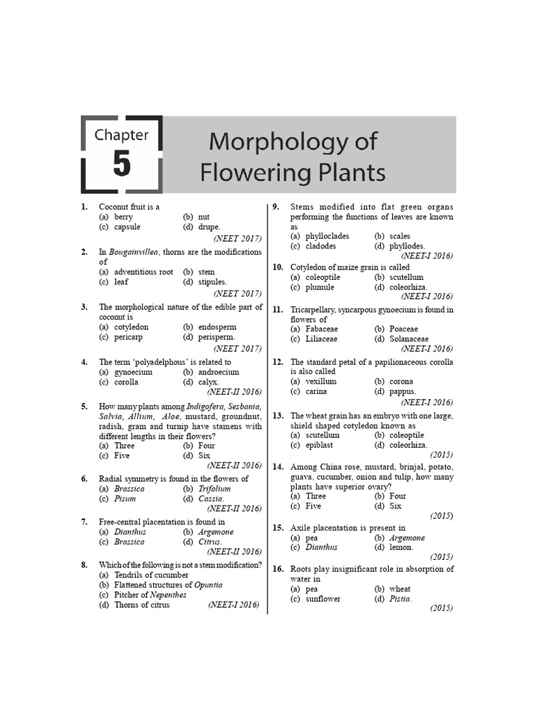 NEET MCQs on Plant Morphology | PDF | Fruit | Flowers