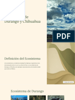 Ecosistema de Durango y Chihuahua