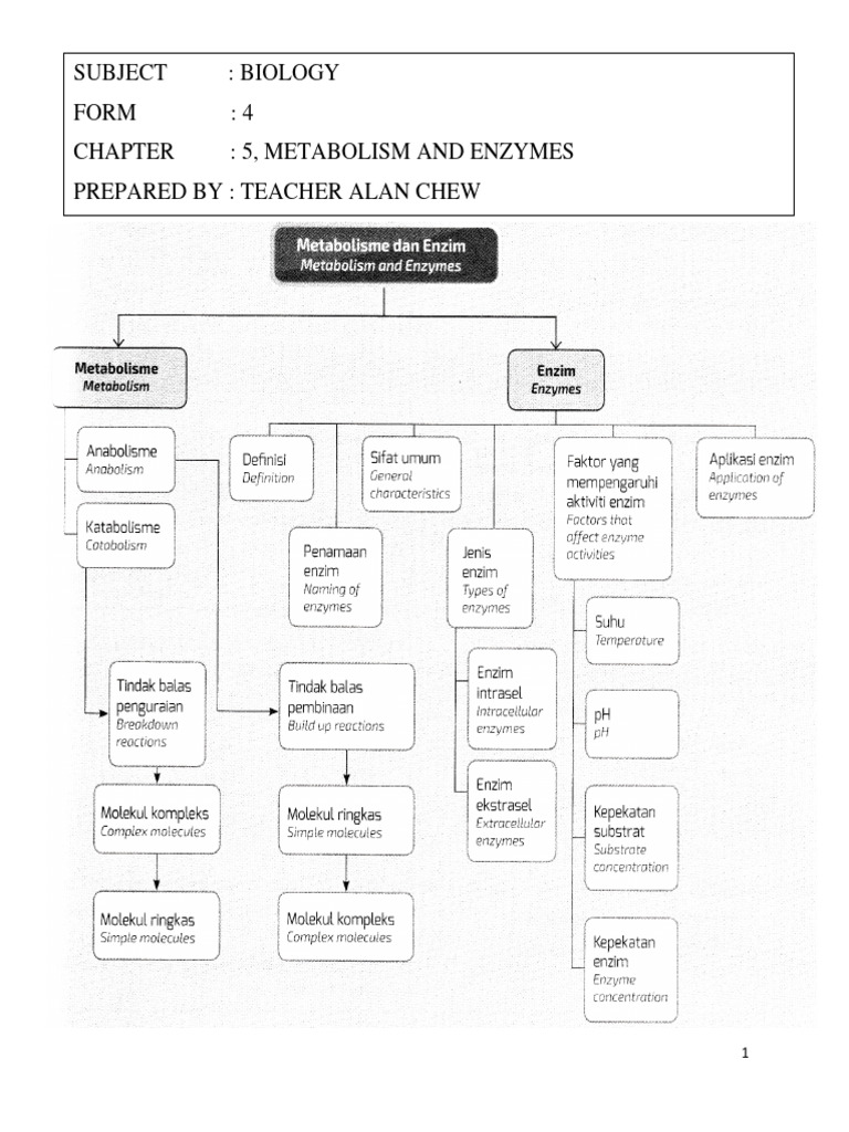 Form 4 Biology Chapter 5 Pdf Enzyme Metabolism
