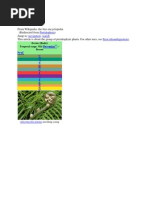 Air Jordan 4 Retro “Lightning” ARPR2011 | PDF | Fern | Plants