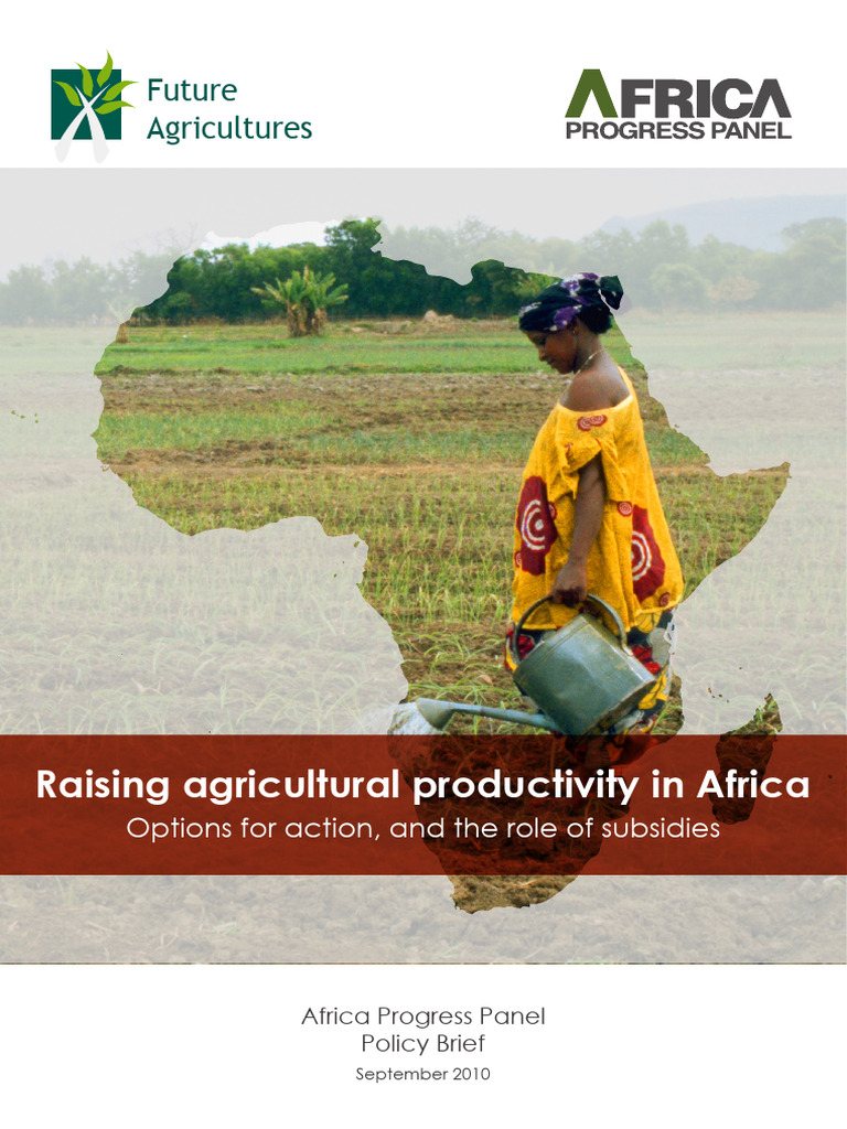 Boosting Agricultural Productivity in Africa | PDF | Agricultural ...
