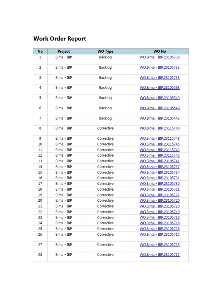 Work Order Report 2 | PDF