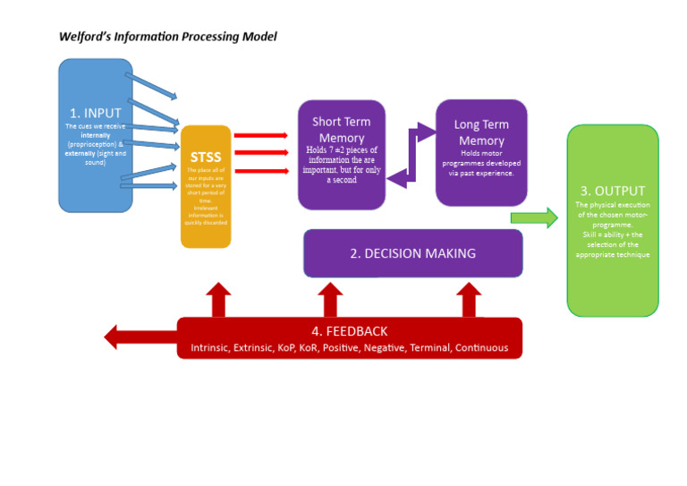 Information Processing Model Gcse Pe