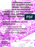 Układ Rozrodczy Żeński Biologia Medyczna