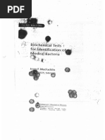 PANIKER MICROBIOLOGY 9TH EDITION PDF FREE DOWNLOAD visual data 3