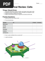 3.1 Final Review - Cells