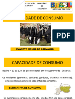 3 Aula - Capacidade de Consumo