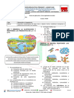 Evaluacion de Ciencias Naturales 3ºayb