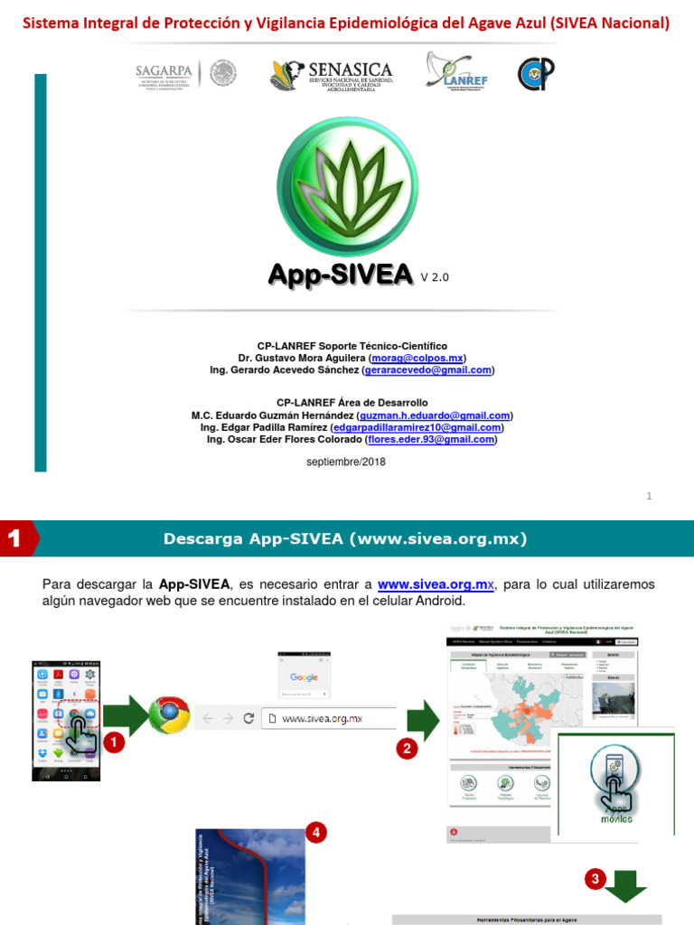 Guía de Uso de la App-SIVEA | PDF | Informática | Software