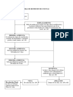 Esquema Del Juicio Oral de Rención de Cuentas.