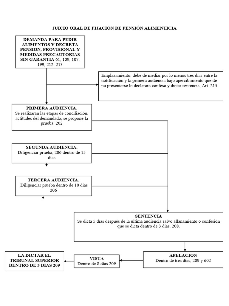 Procedimiento Del Juicio Oral de Alimentos | PDF