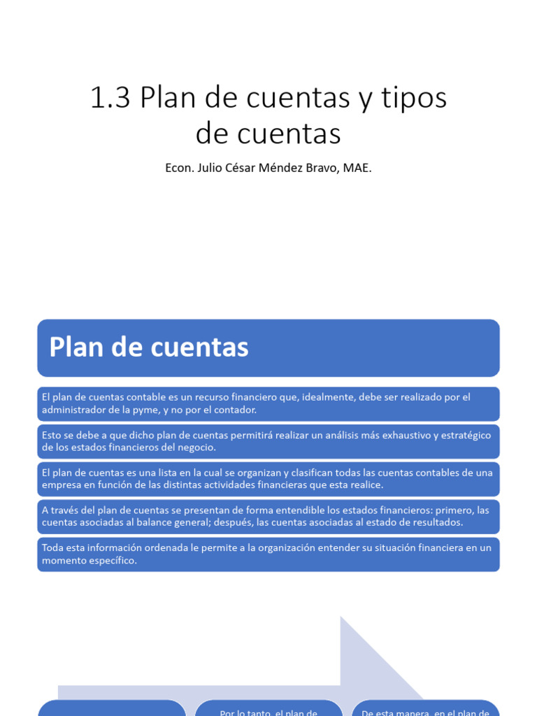 1.3 Plan de Cuentas y Tipos de Cuentas | PDF | Contabilidad | Business