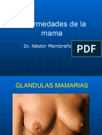 Enfermedades de La Mama