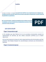 Endosymbiose Des Mitochondries