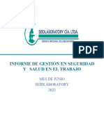 Informe Mes de Junio Seidlaboratory 2023