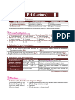 P-04 Class Slide EV