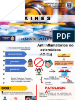 Aines: Clinica Del Adulto II