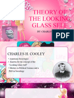 Theory of The Looking Glass Self 102613