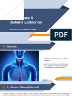 Tema 5. Sistema Endocrino