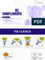 Sistema Del Complemento